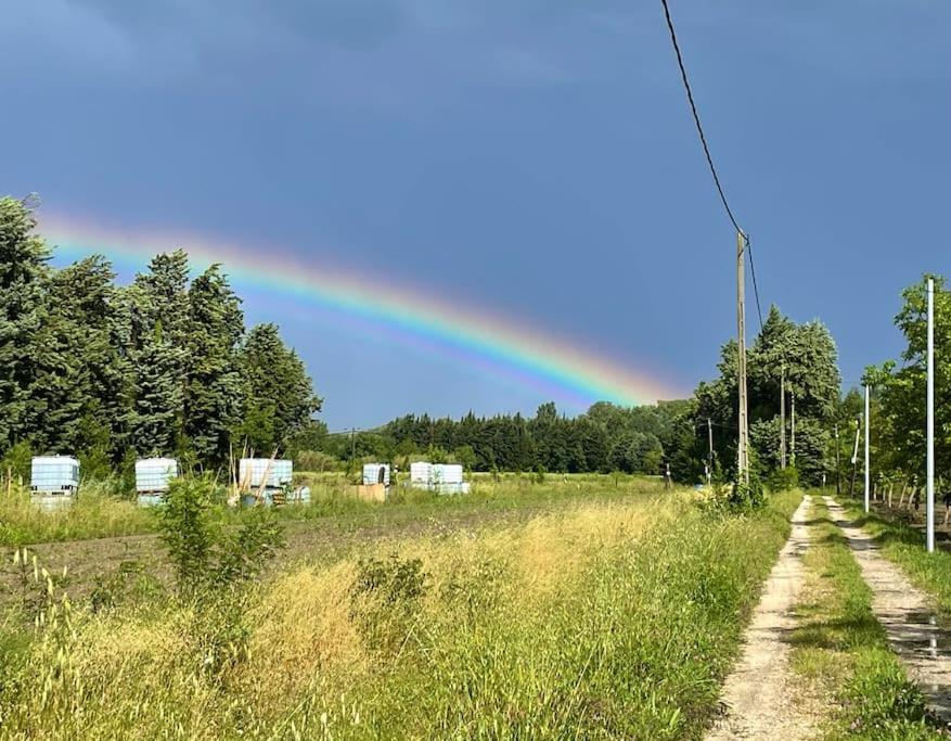 7 Rayons Hébergement de vacances Avignon